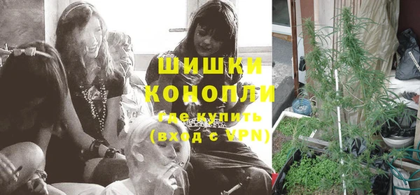 трава Белокуриха